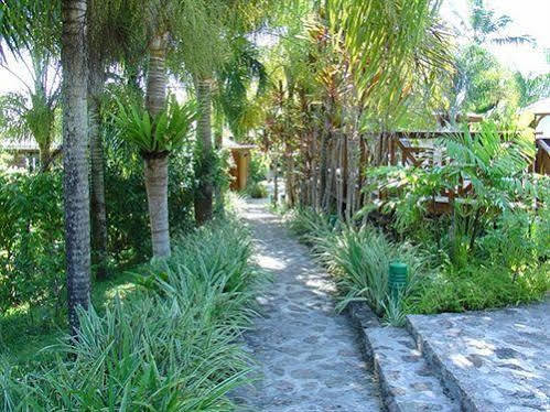 Отель Le Jardin Des Palmes Anse a La Mouche Экстерьер фото
